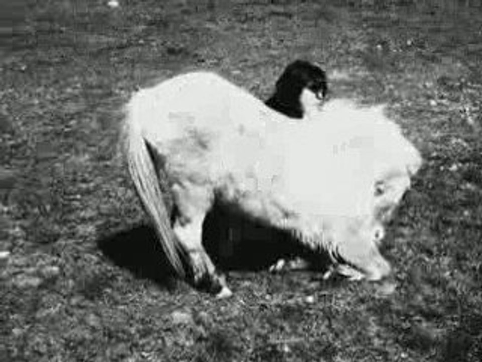 Scheyenne Vacances Avril 2009. Theme  " A genou "