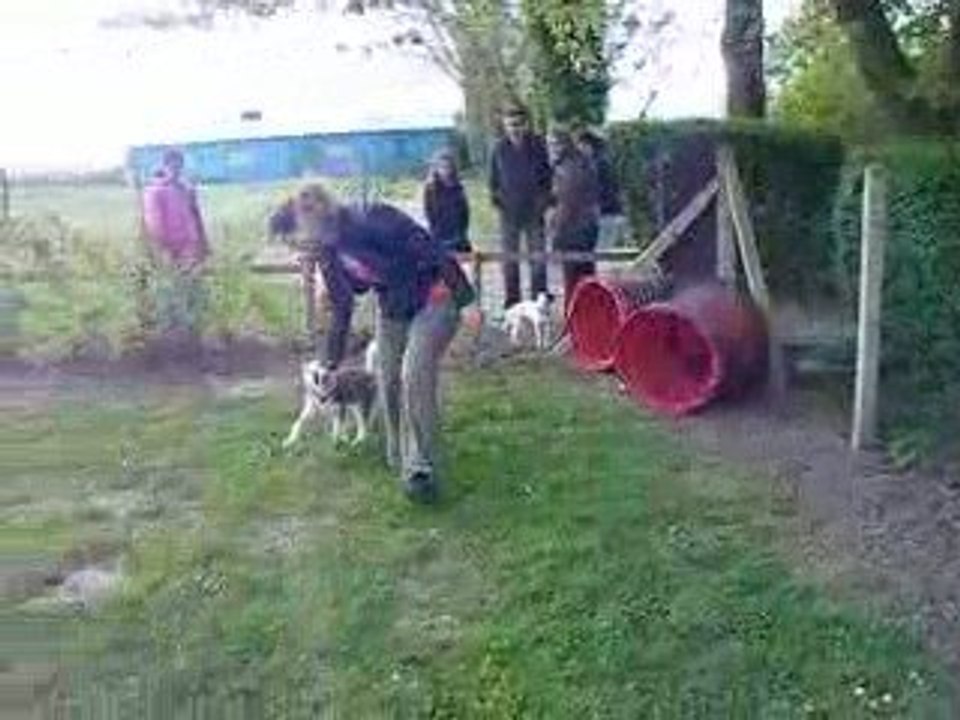 Tosca agility 26/0409 suite