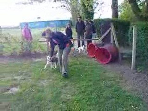 Tosca agility 26/0409 suite