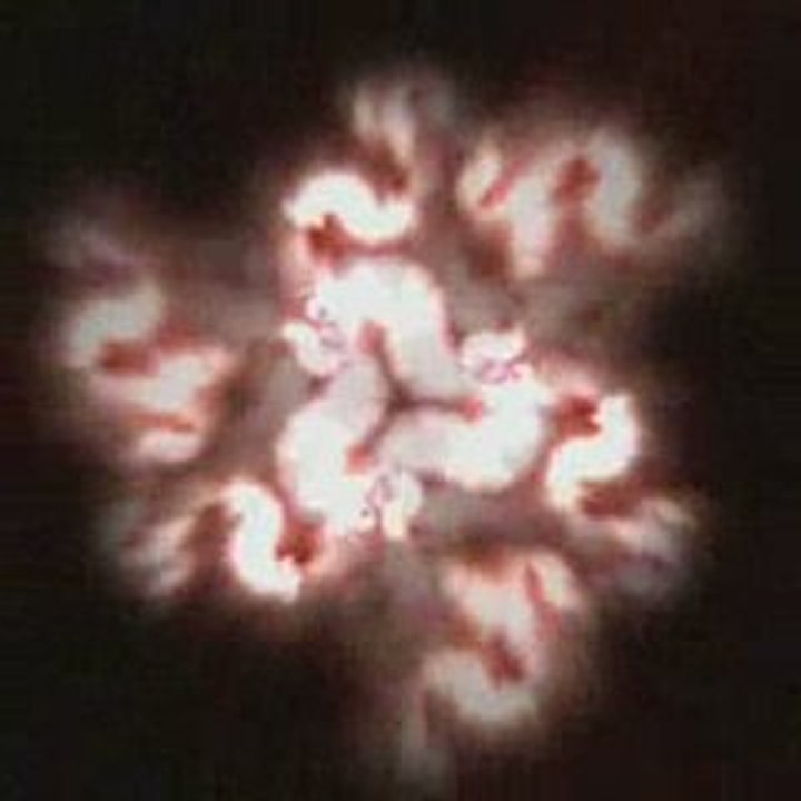 Mana-vision song "kalter märz "