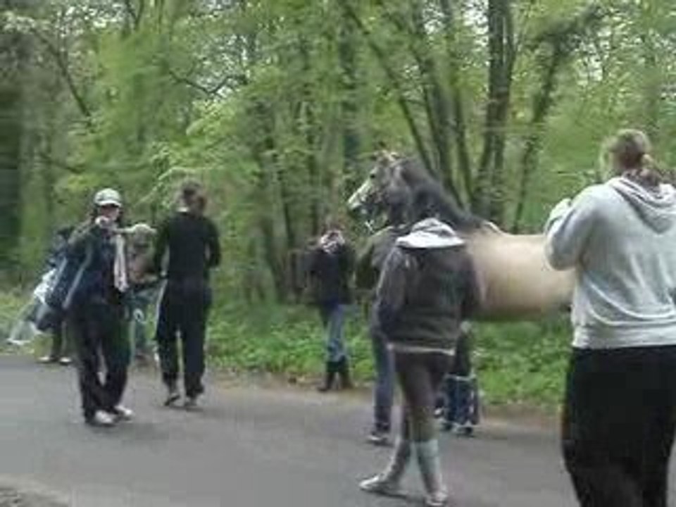MOV00402