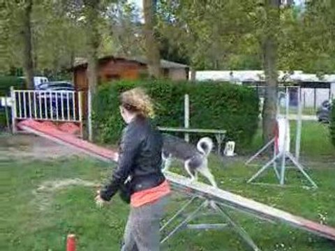 Tosca agility 26/0409