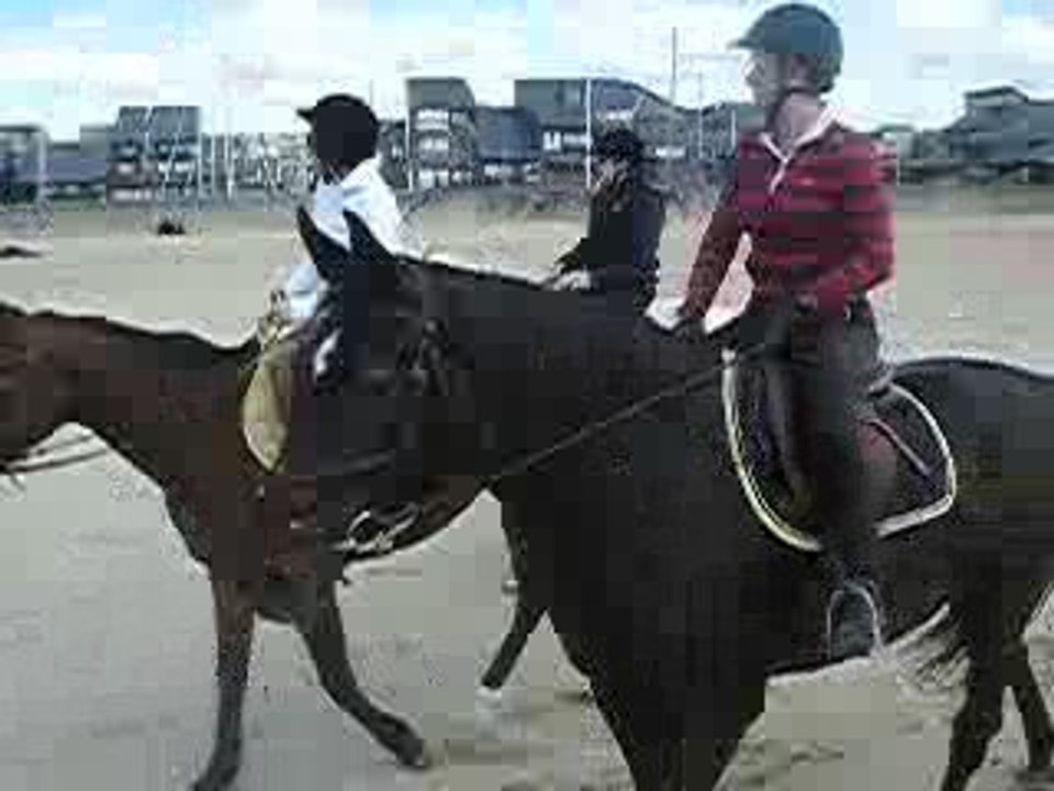 Arrivé sur la plage