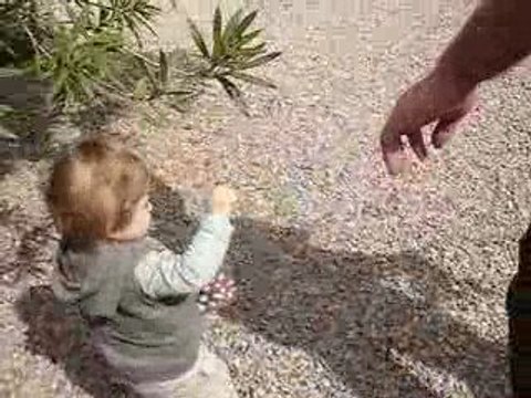 Elles sont où mes poules..... en chocolat, bien sûr !