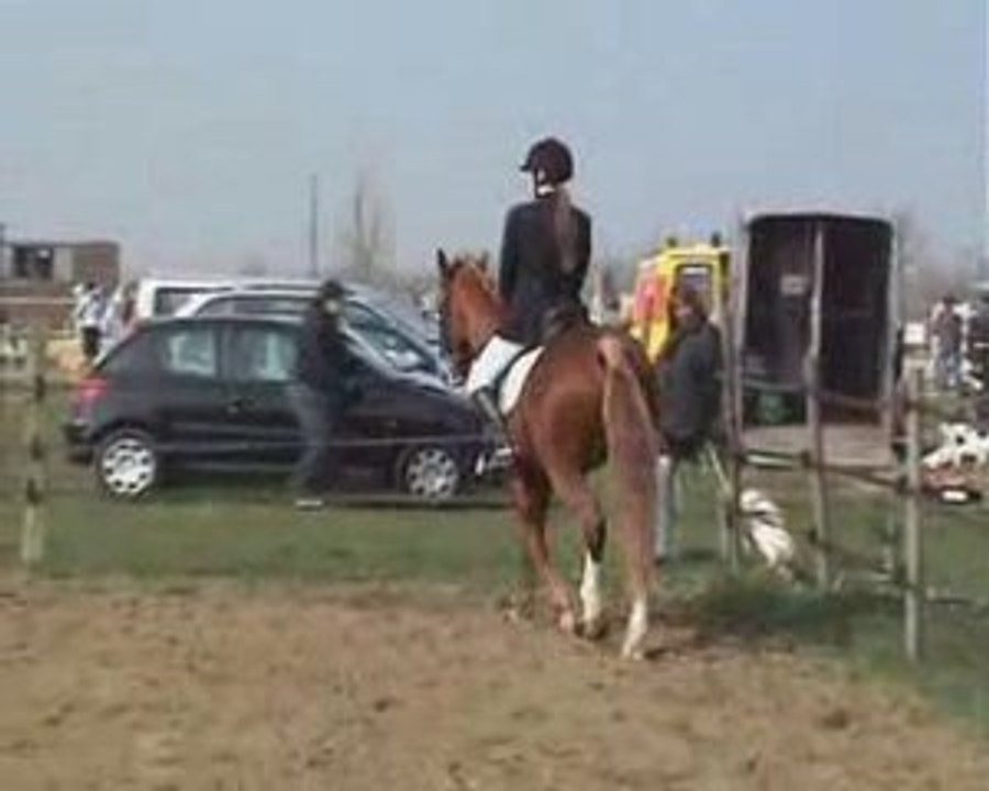 Dressage le noyer 22/03/2009