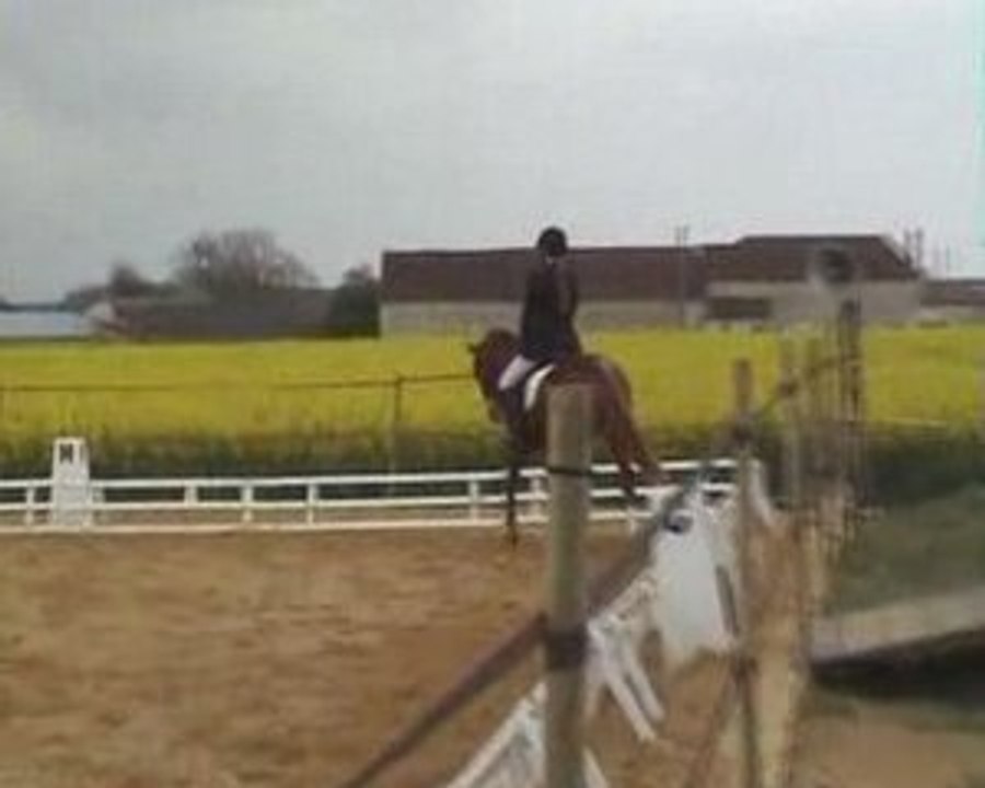 Dressage Hippo-logis 19/04/2009