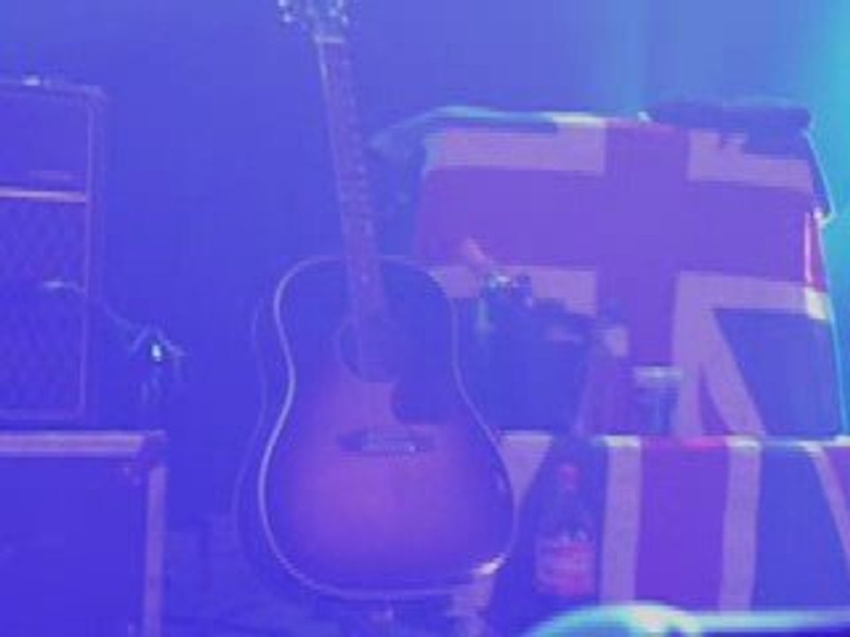 Doherty PureFM Bday Roses 25 avril Bruxelles Botanique