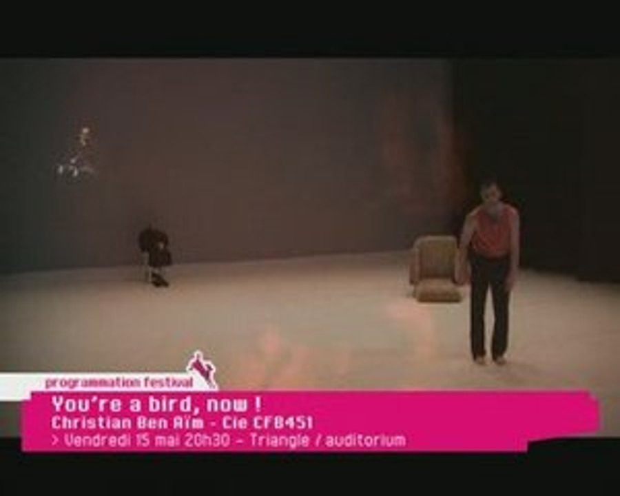 AGITATO 2009 - You’re a bird, now !