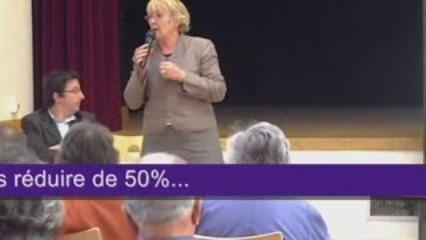Geneviève Gaillard Niort Budget 2009 réunion publique