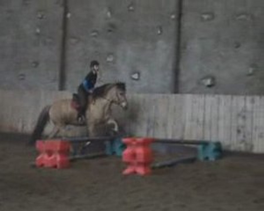 Séance saut