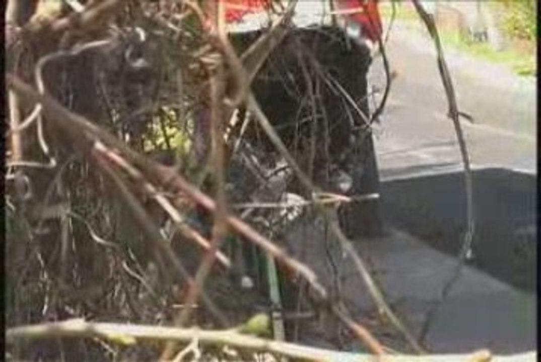 TaskTV: For The Kids by Matt Vigneux - Intro