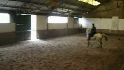 12-04-2009 Denis monte Bonnie