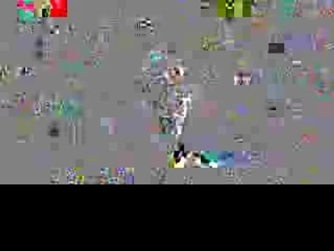 David Singer Enterprises presentation