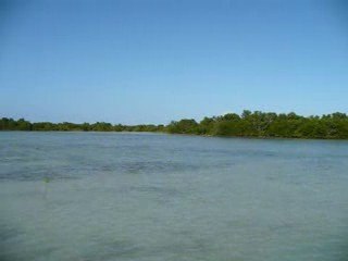 The Olango Island Wildlife Sanctuary/ www.ecoconut.net