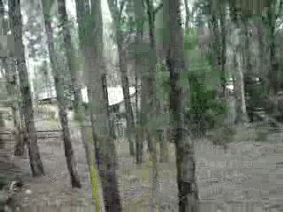 puffing billy