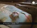 Des momies Égyptiennes découvertes par des Archéologues