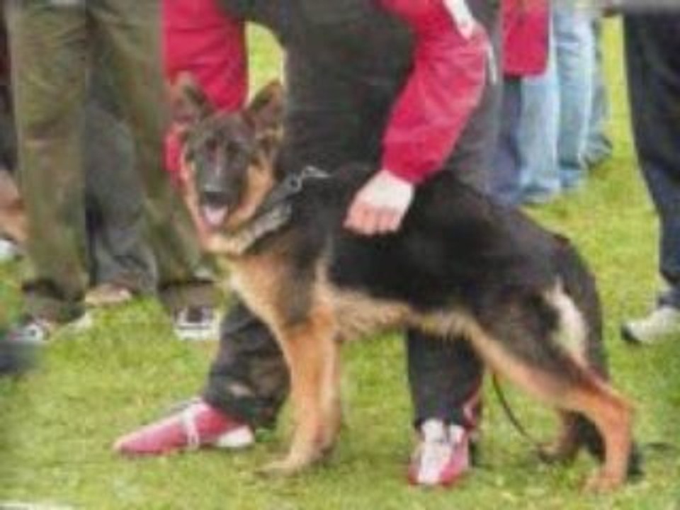 dolce gabanna de savage garden