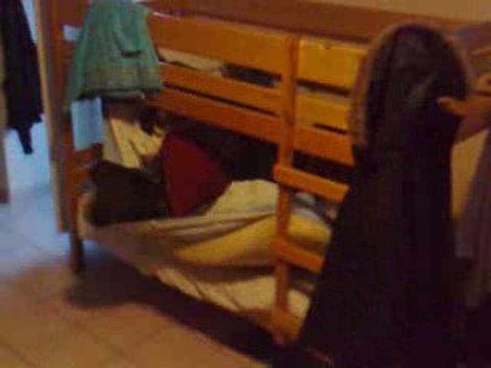 Chute andy
