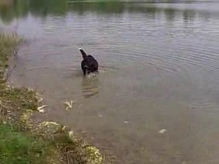 D'JAÏNA A LA GRAVIERE!!!!