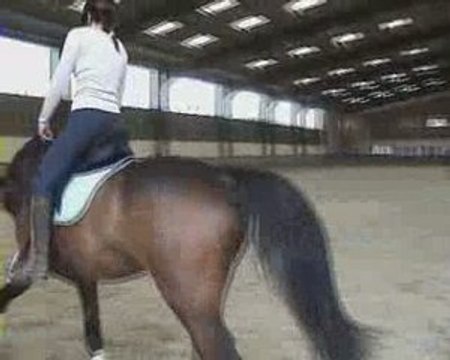 Cours DG dressage pour Philou le trotteur 3