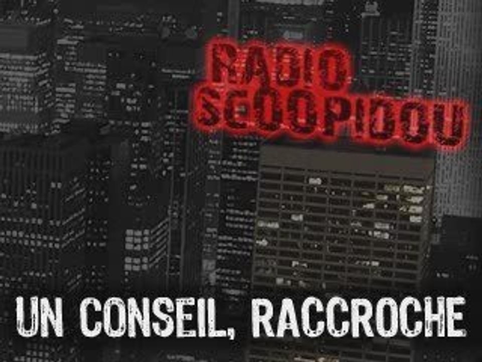 Radio Scoopidou - Canular 35 - Skyrock Quimper