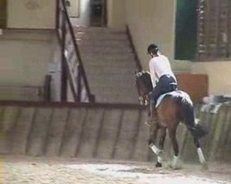 Cours DG dressage pour Philou le trotteur 4