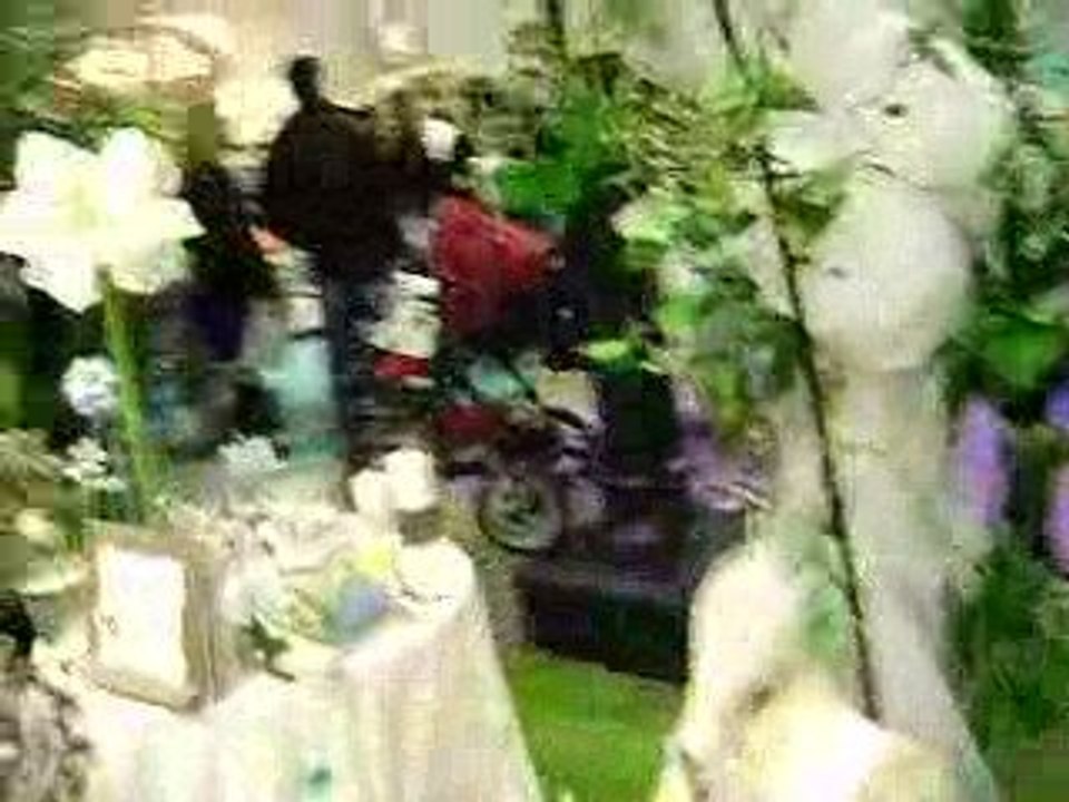 MOV01491