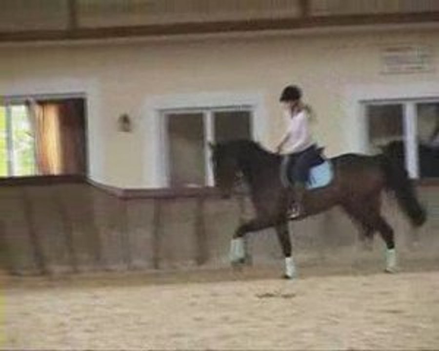 Cours DG dressage pour Philou le trotteur 5