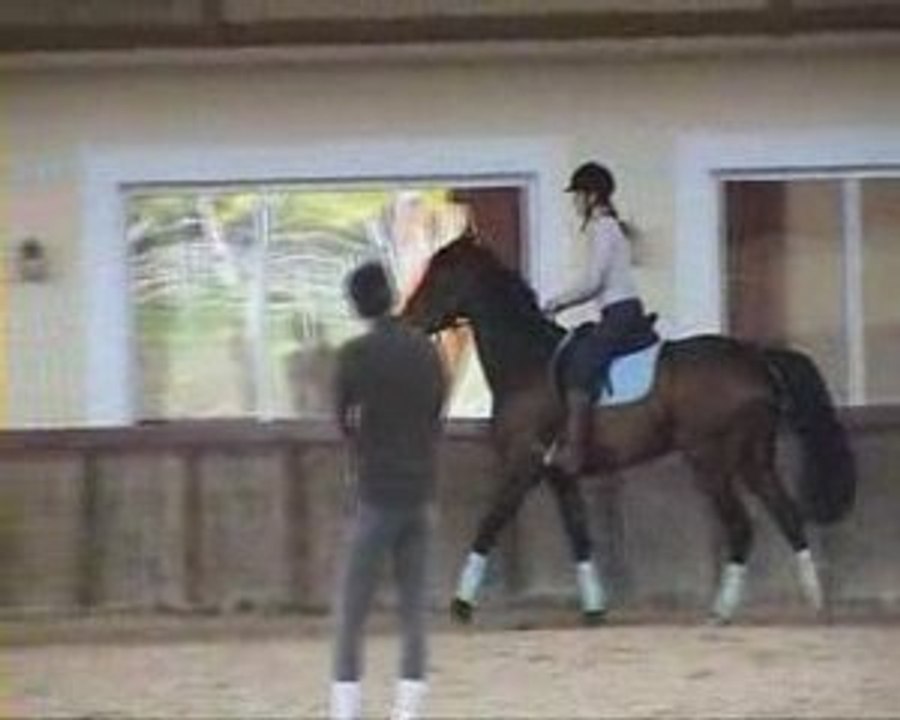 Cours DG dressage pour Philou le trotteur 6