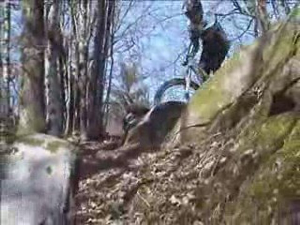 piste DH VTT VOSGSPAD FERDRUPT