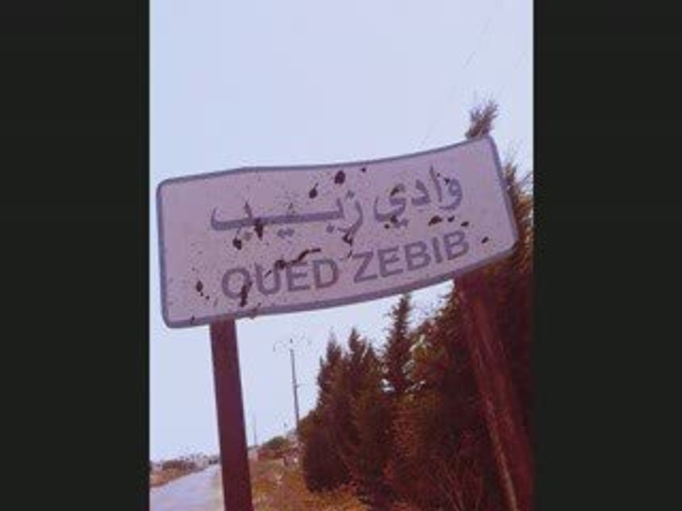 Oued zbib