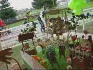 Get Two Balloonists $100-hour for Party Festival Wedding