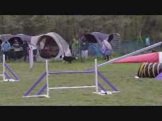 CR 3ème degré C Peps Agility