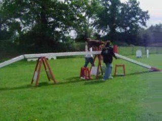 Brisca à 7 mois en agility