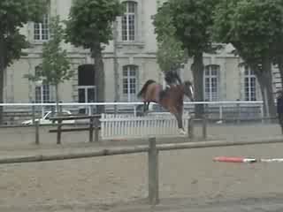 cross naxos charlotte cadets de la garde 6