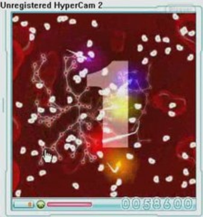 Synapses 77575