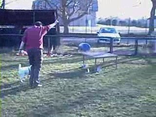 Raven agility le parcours de fou_0001