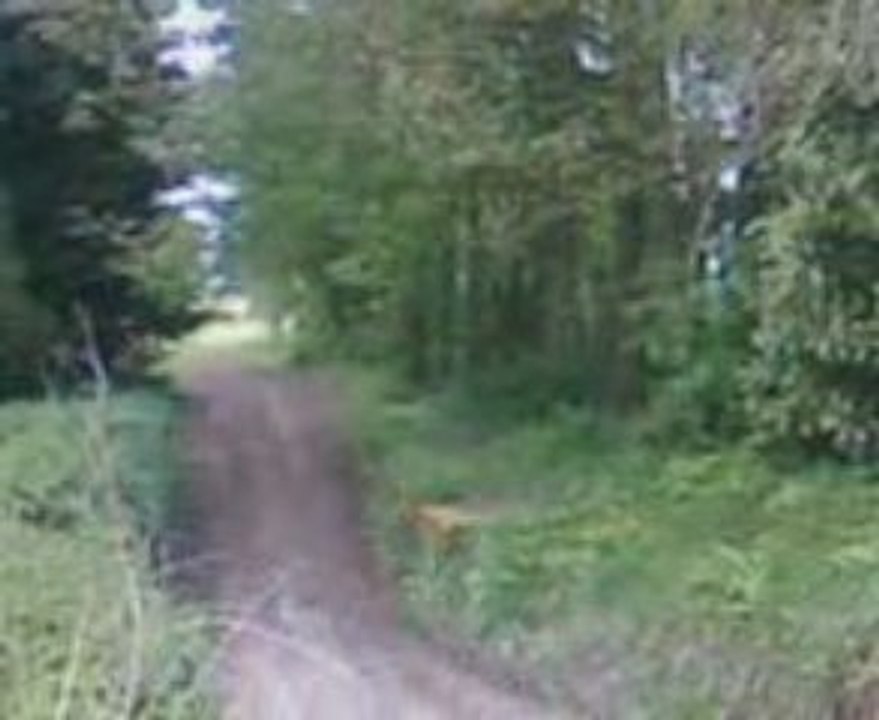VID024