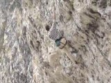 spit blues (8a) à saint léger du ventoux