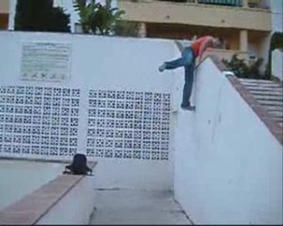 trade- comienzos 2009