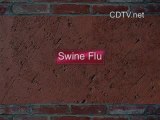 Swine Flu: Q and A. What Is Swine Flu ? part 2 of 2