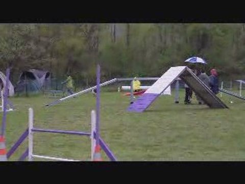 CR 2ème degré C Totemm Agility