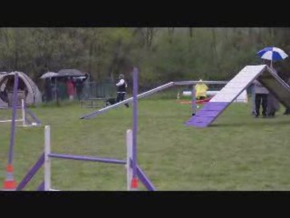 CR 2ème degré C Vanka Agility