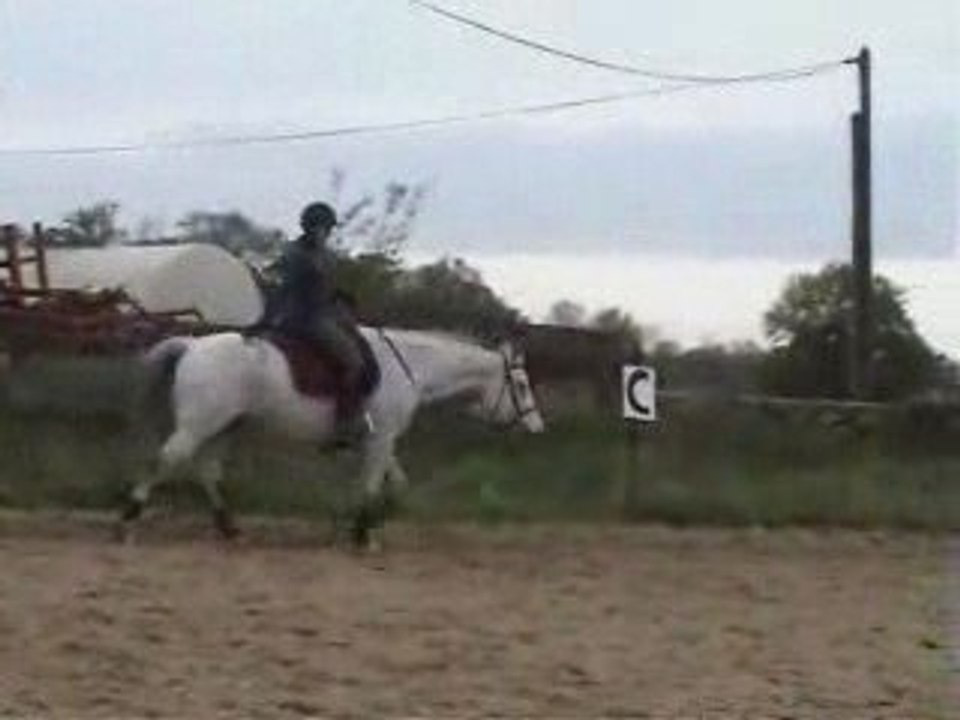 Gipsy le 270409