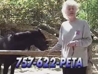The Late Bea Arthur Premarin Ad