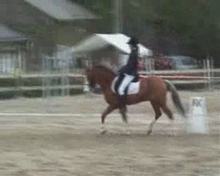 Quenzo & moi en Dressage E3 à la Vallée des Rois