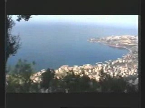 Lebanese Forces - Elections - وفيك تعمل شي