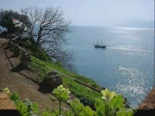 TURAN SENGUL MARTILAR