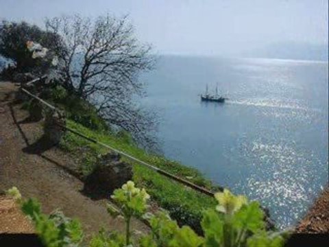 TURAN SENGUL MARTILAR