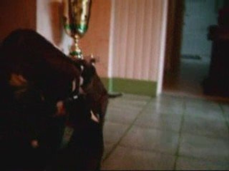 VIDEO Evanescence la charmeuse puis vien Erine...